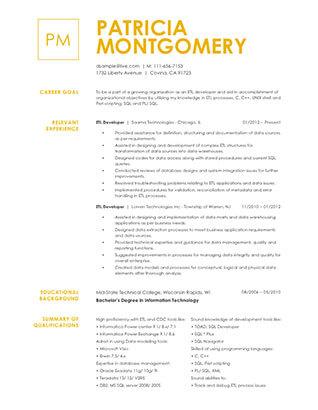 resume example good resume example good