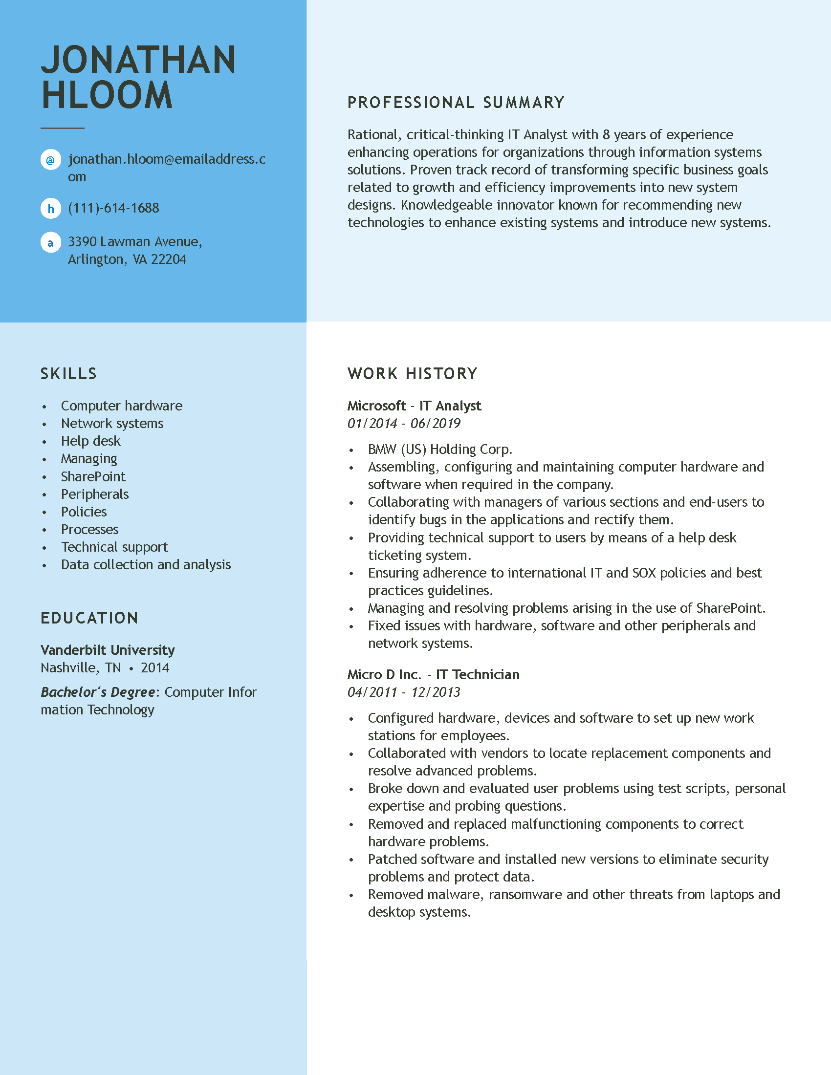 best resume format it professional