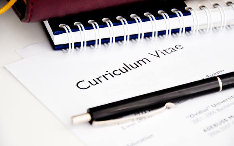 Professional resume or curriculum vitae