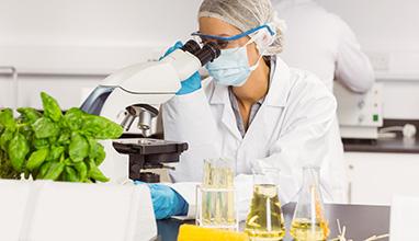 Food scientist using the microscope at the university