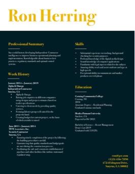 Free professional bold resume