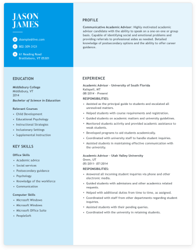 resume template section five